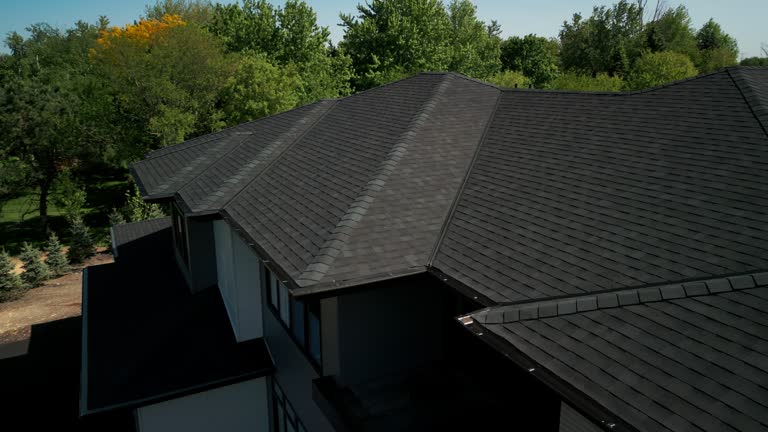 Best Sheet Metal Roofing  in Varnville, SC